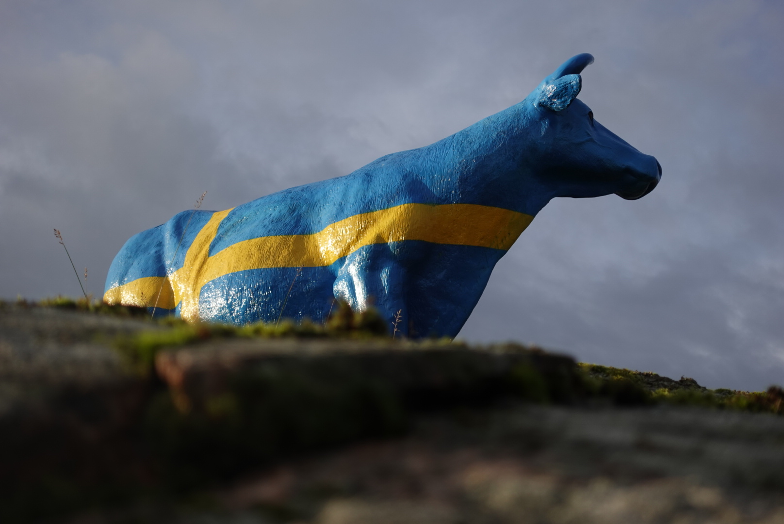 Om du ser Svea så är du på Graneberg!